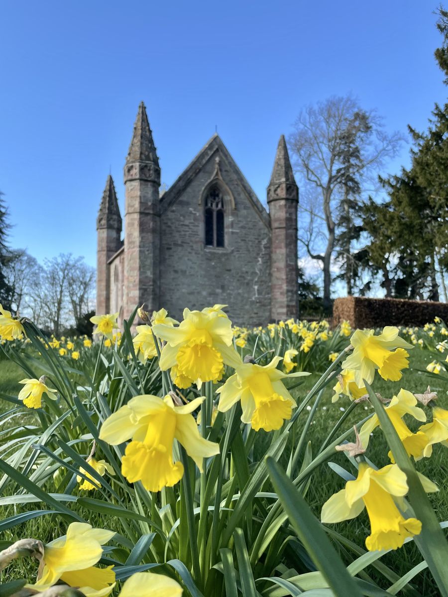 Scone Palace Garden