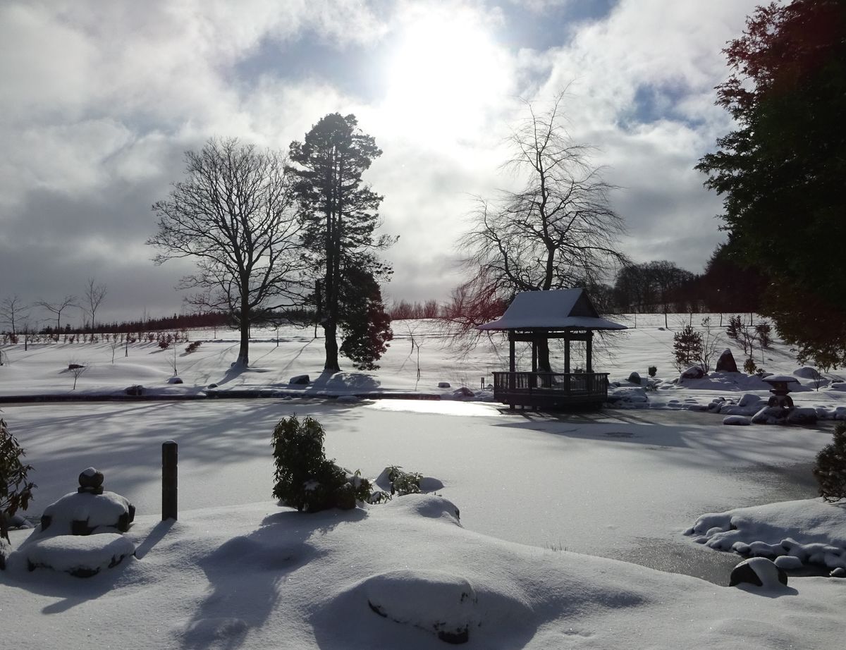 The Japanese Garden at Cowden