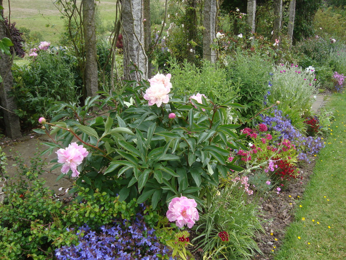 Harthill - pergola bed