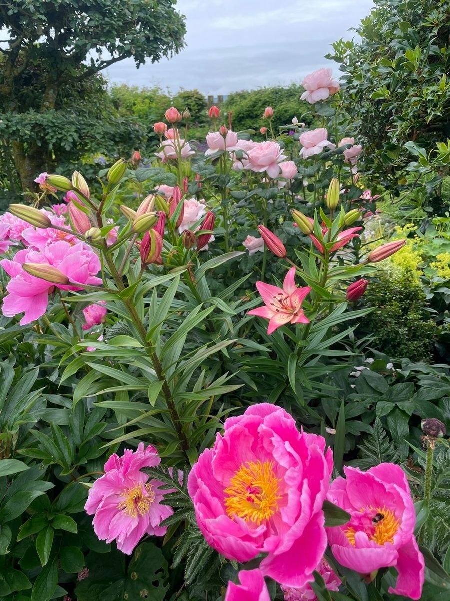 Auldbyres Farm Garden