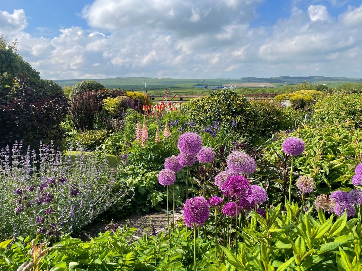 Auldbyres Farm Garden