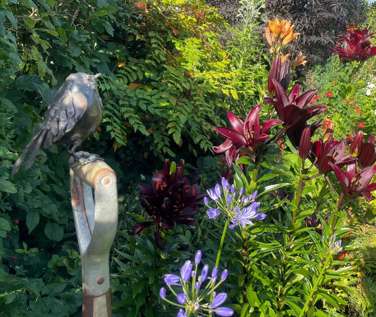 Auldbyres Farm Garden