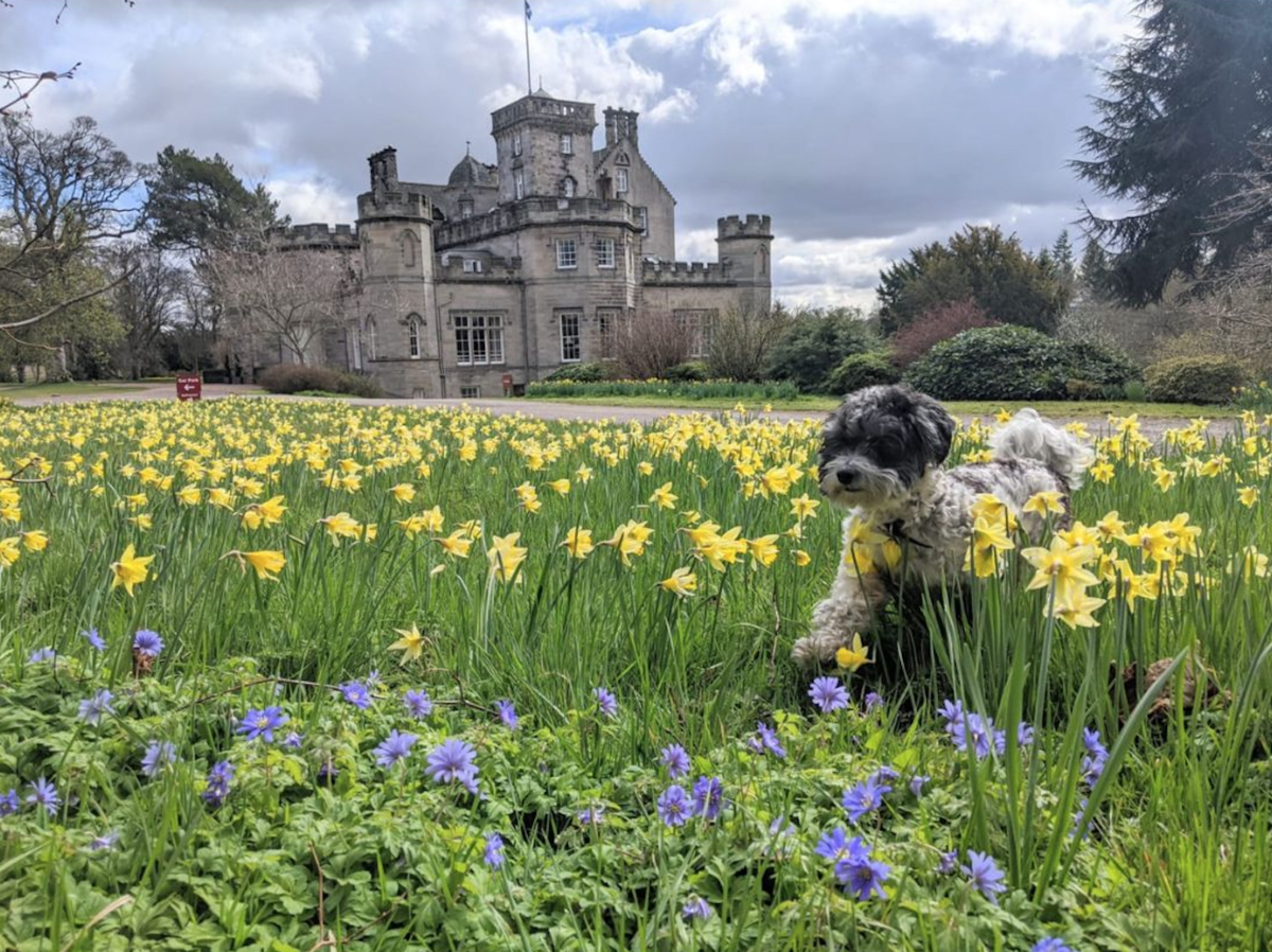 Winton Castle