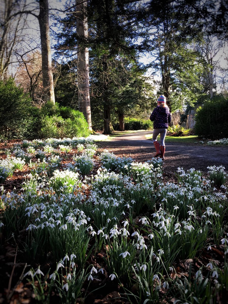 Scone Palace Garden