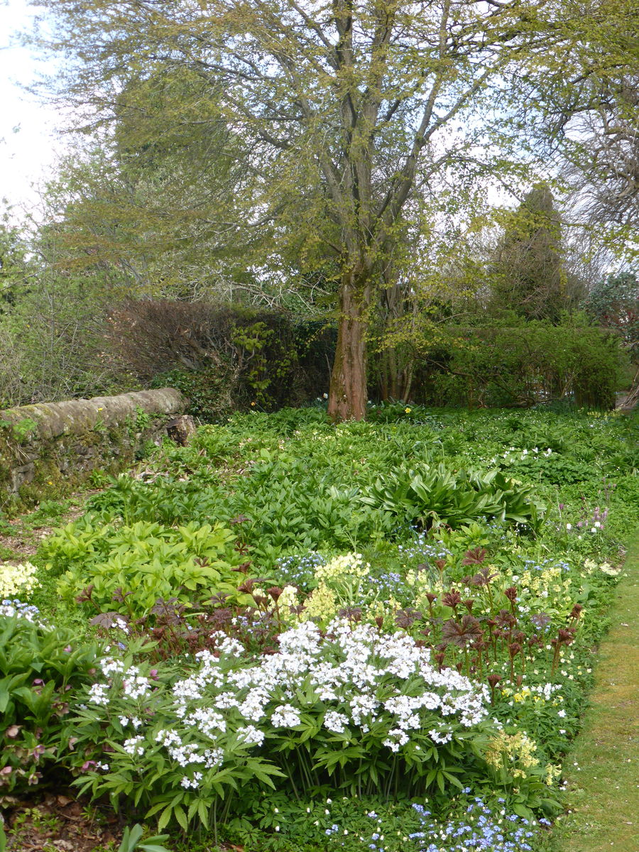 St Blanes House