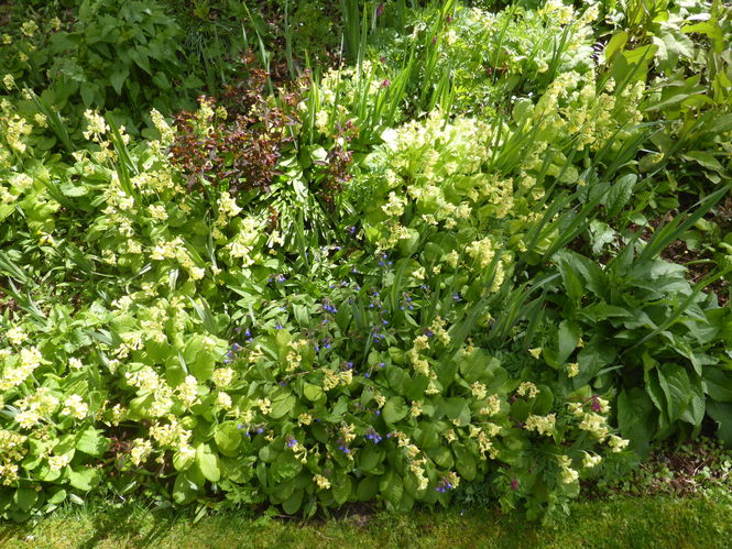 Dunblane Gardens