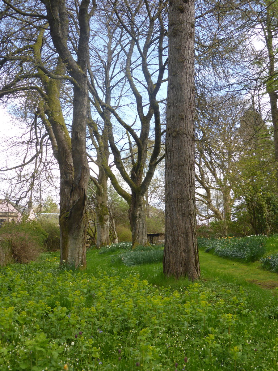 St Blanes House