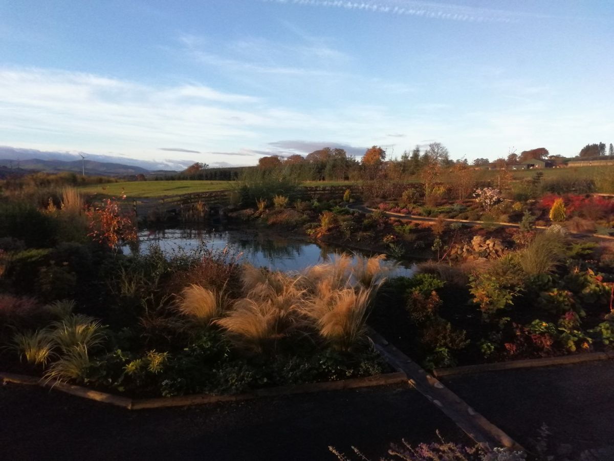 Birchbrae