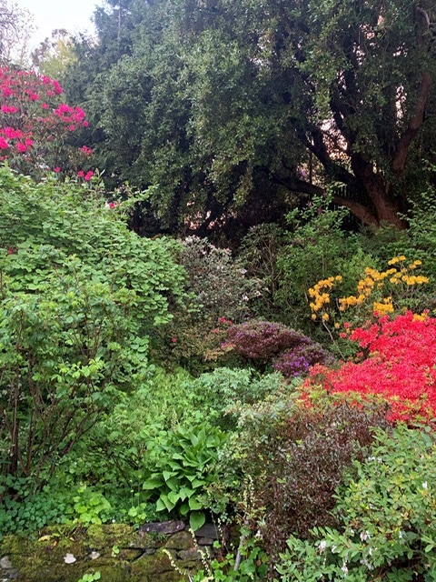 Crinan Hotel Garden