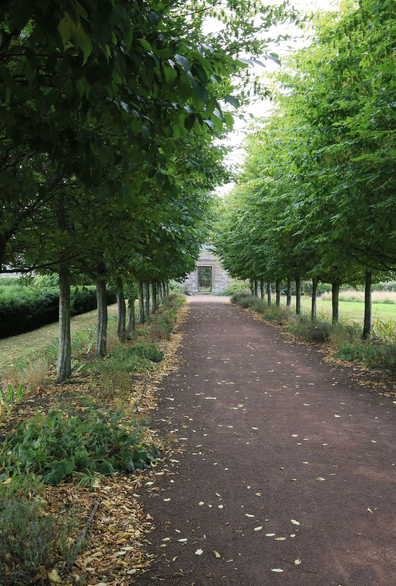 Amisfield Walled Garden