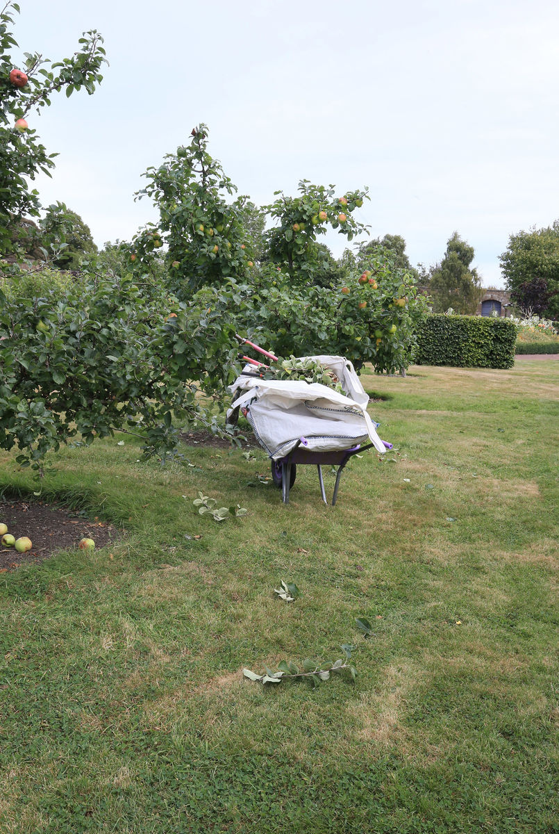 Amisfield Walled Garden