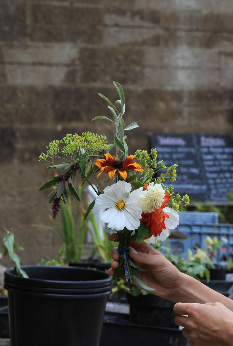 Amisfield Walled Garden