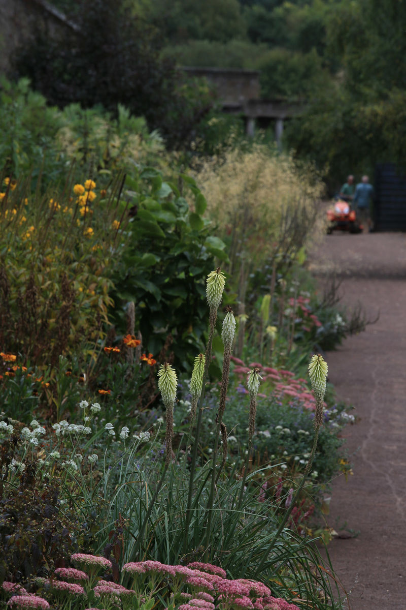 Amisfield Walled Garden