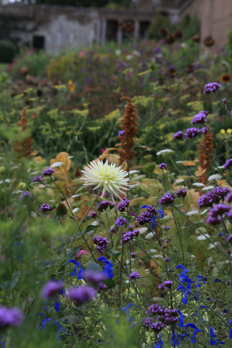 Amisfield Walled Garden