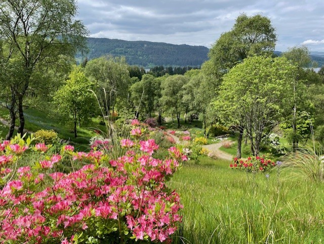 Braevallich Farm ©Dot Dahl