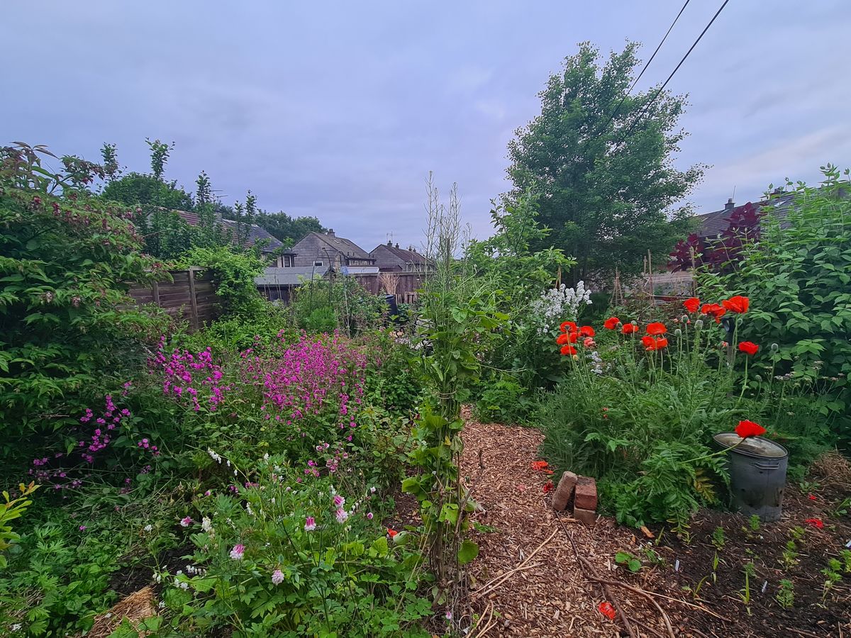 Charleston Forest Garden