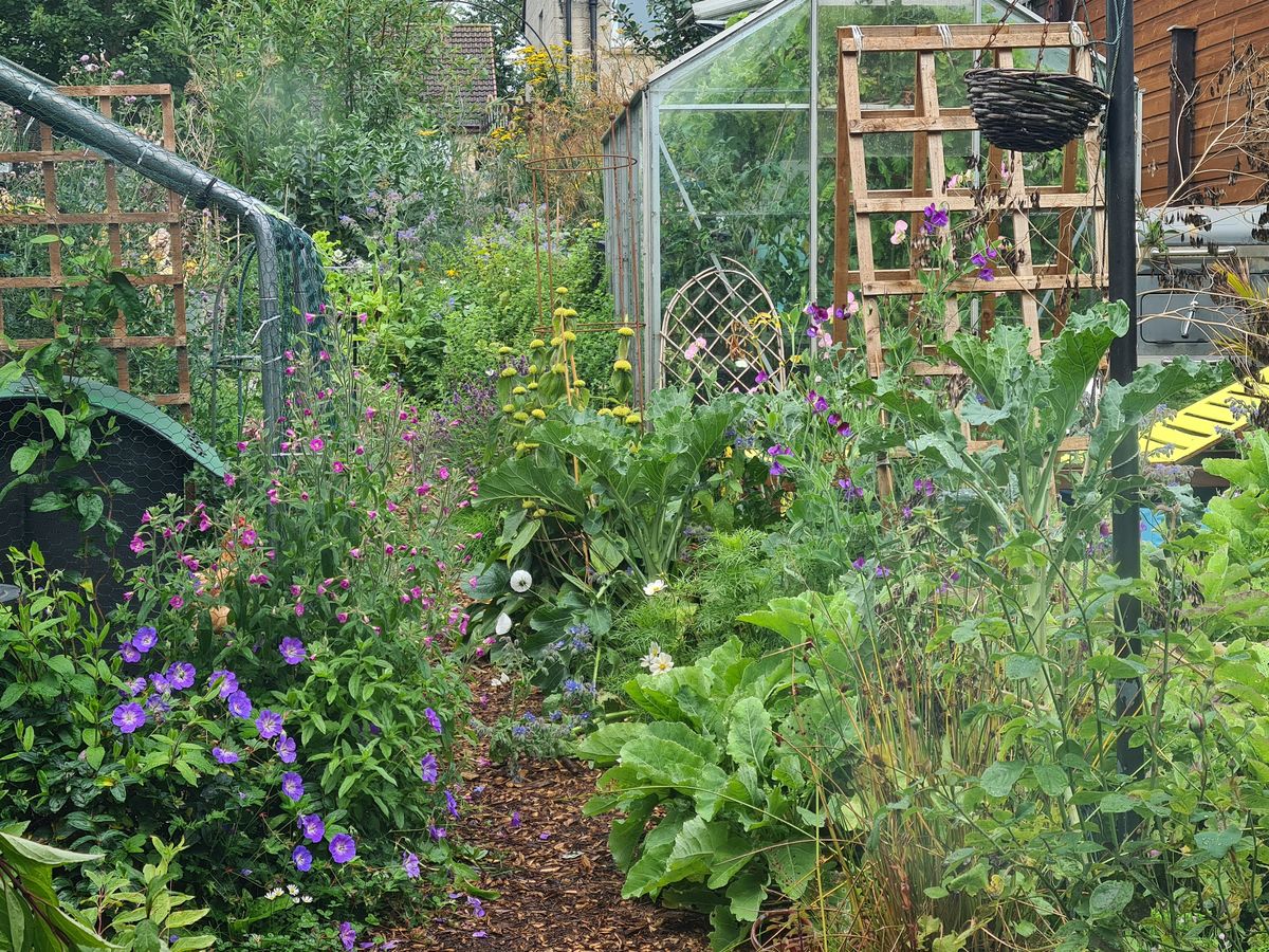 Charleston Forest Garden