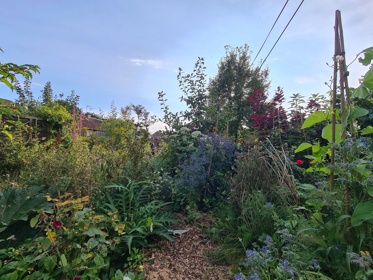 Charleston Forest Garden