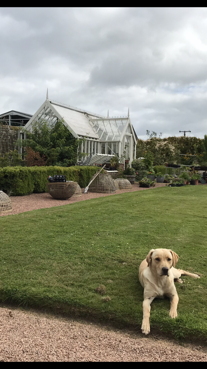 Pitlochie House