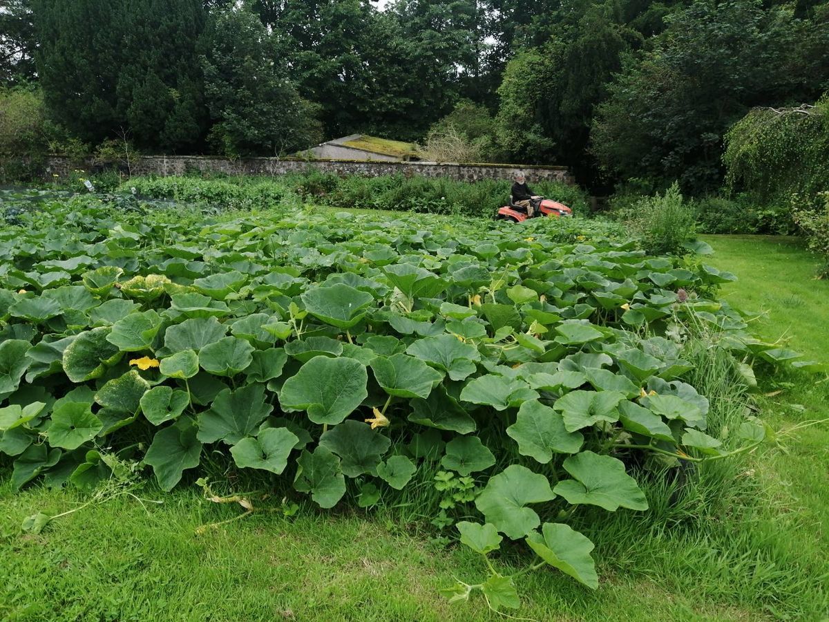 The Gardens of Monimail Tower