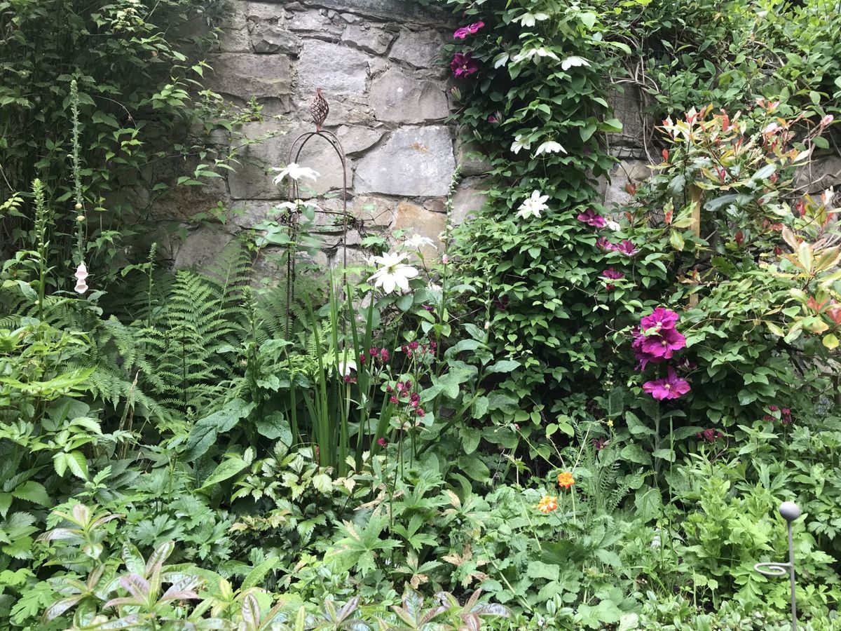 Stockbridge Gardens