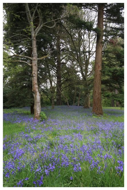 Tyninghame House and The Walled Garden ©Delia Ridley-Thomas