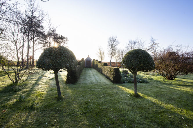 Blackdykes Garden ©Delia Ridley-Thomas