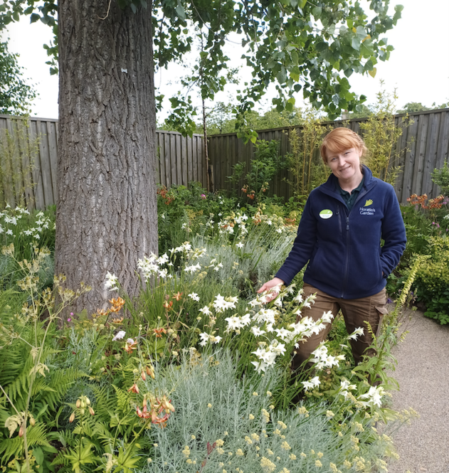 chelsea-lowe-horatio-garden-.png ©Chelsea Lowe, Horatio's Garden