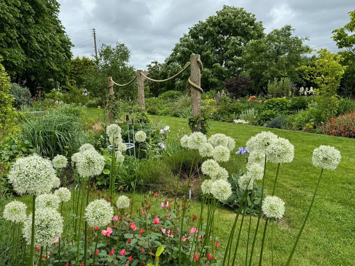 Haugh Garden