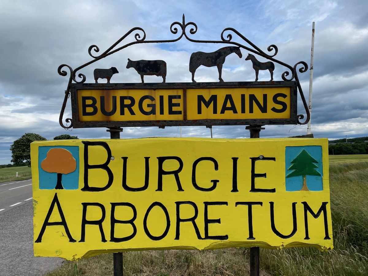 Burgie Arboretum