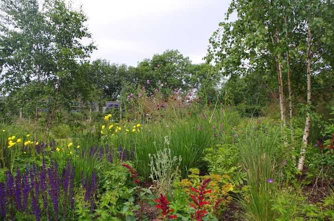 SWG3 Community Garden