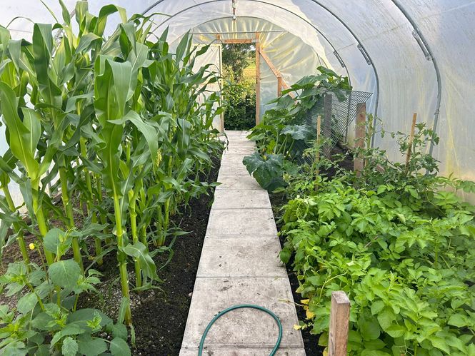 Stobwood Cottage Garden