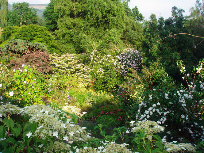 Carig Dhubh