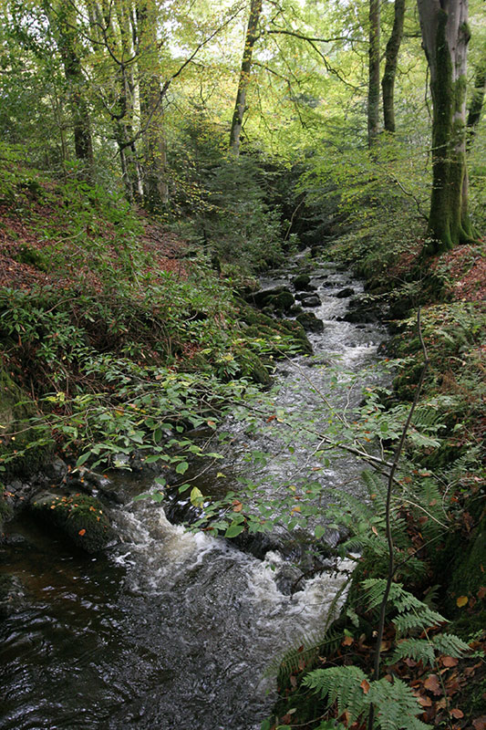 Glenapp Castle