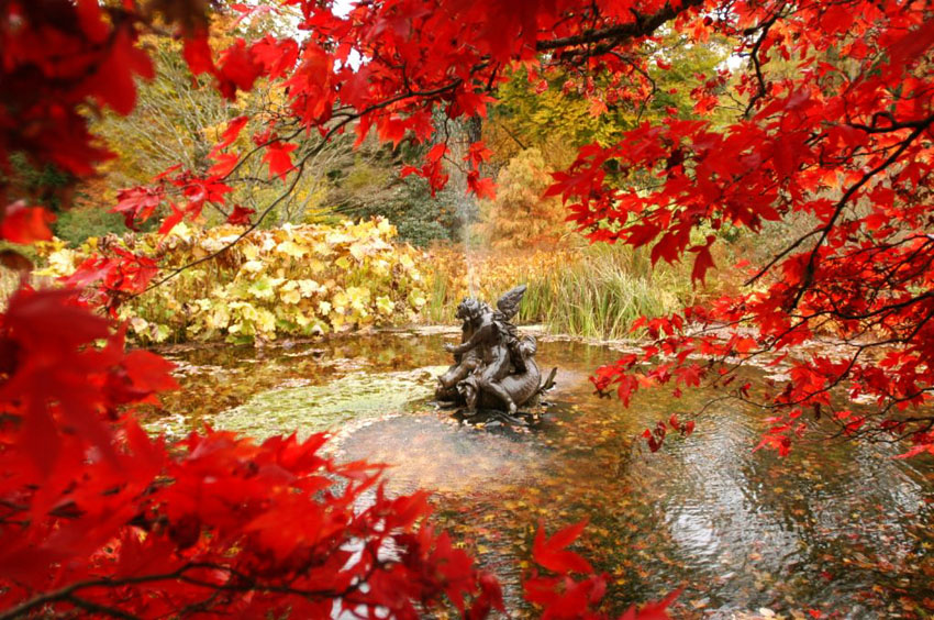Benmore Botanic Gardens 2