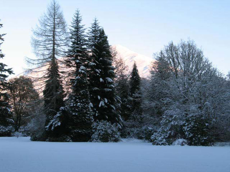 Ardkinglas Woodland Garden