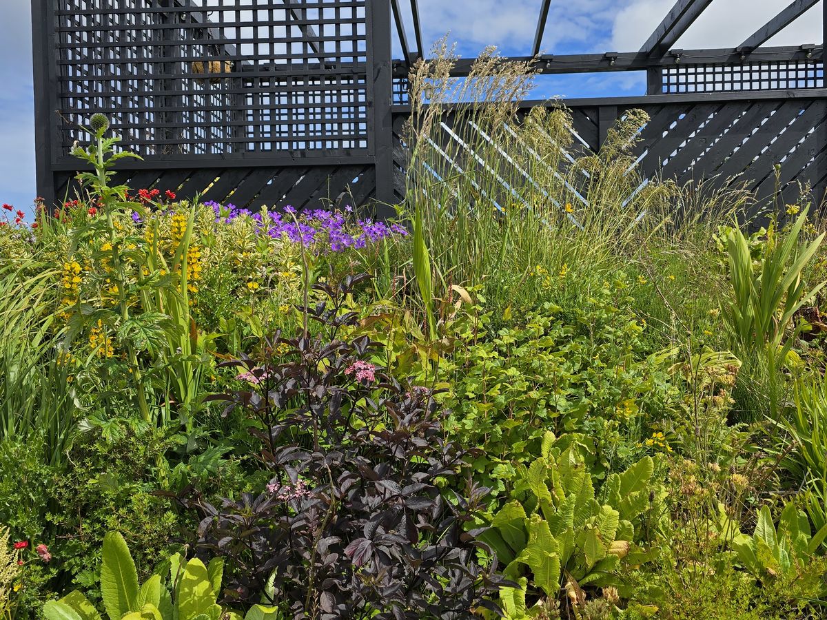 Lochview Gardens