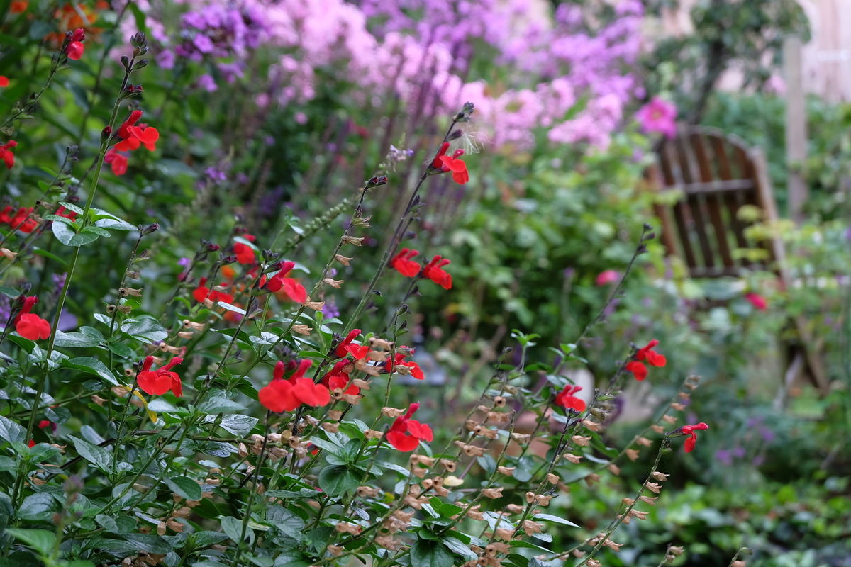 Mercat Cottage Garden