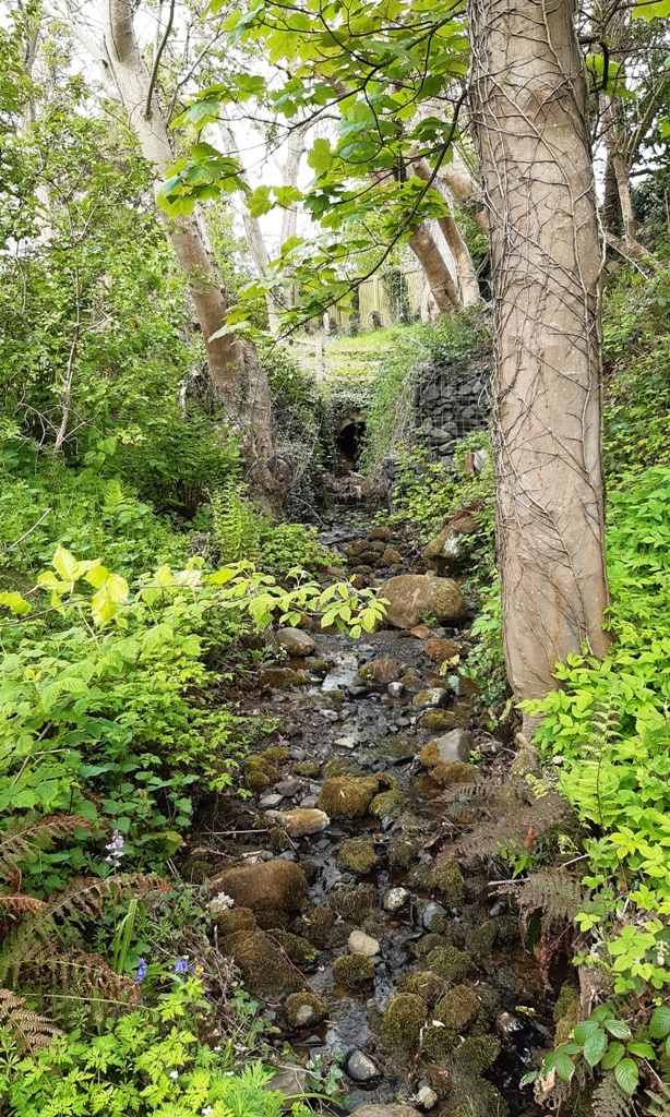 Crummieholm