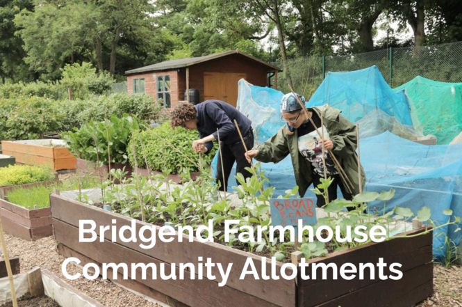 bridgend-farmhouse-community-allotments.png