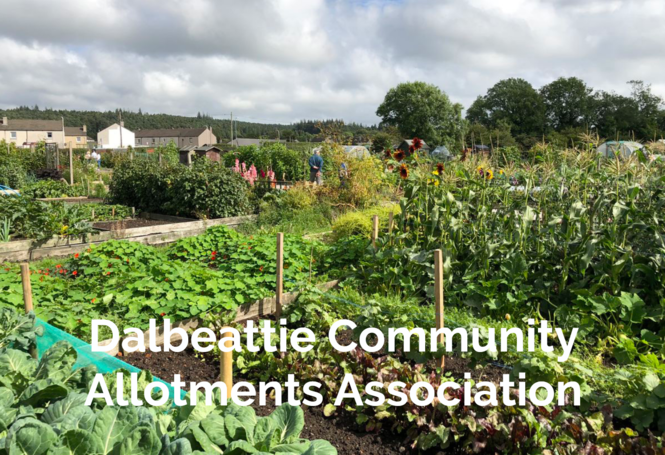 dalbeattie-community-allotments-association.png