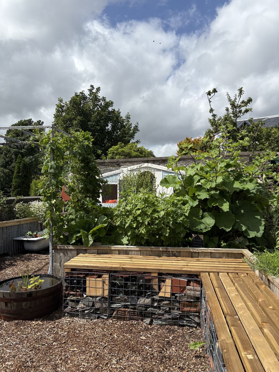 Dunoon Goes POP Drinks Garden