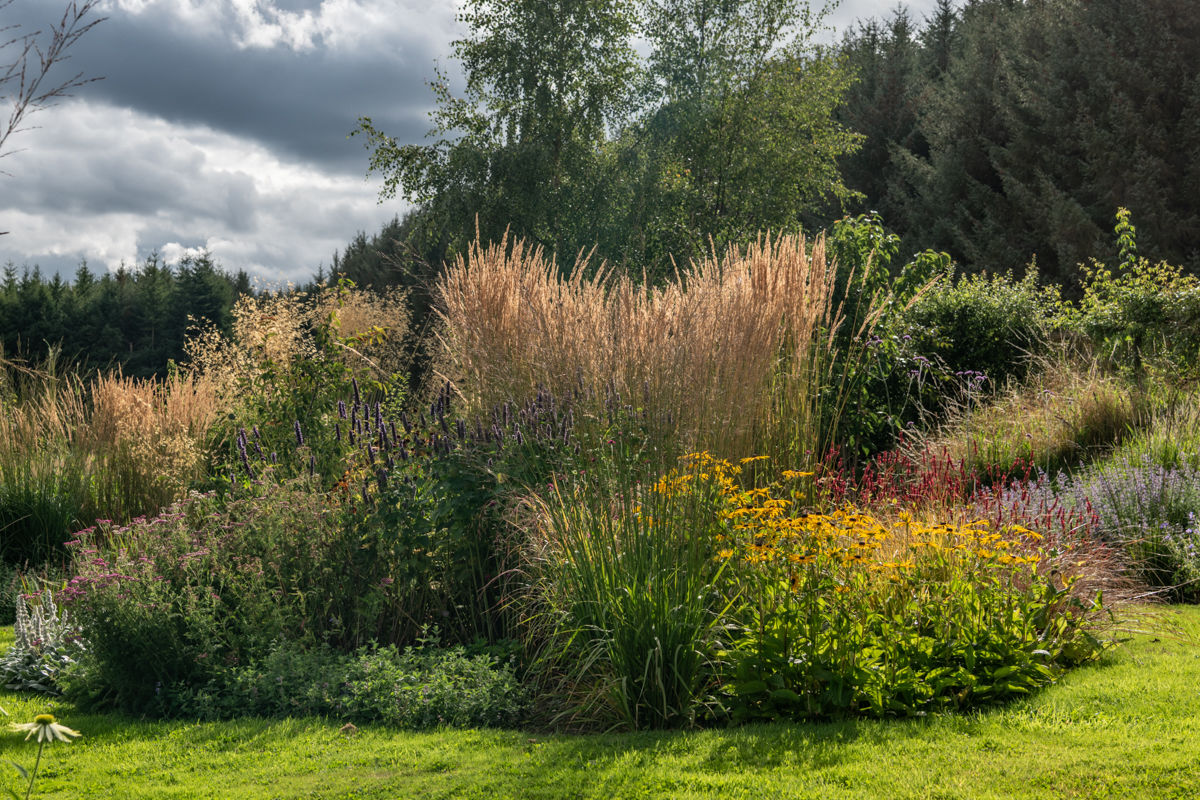 Garden With a View - Tigh Braigh, calamagrostis Karl Foerster
