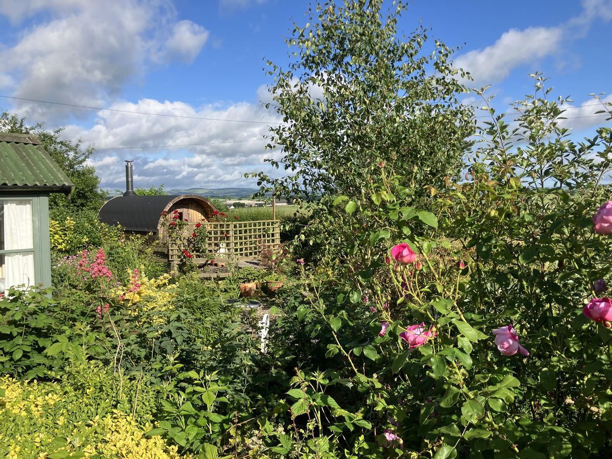 Whitsome Village
