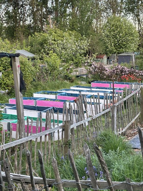 Craigentinny Telferton Allotments