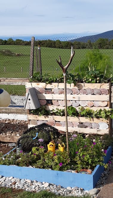 Islay Life - Keills Primary School