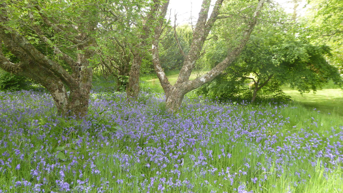 Kilbeg House