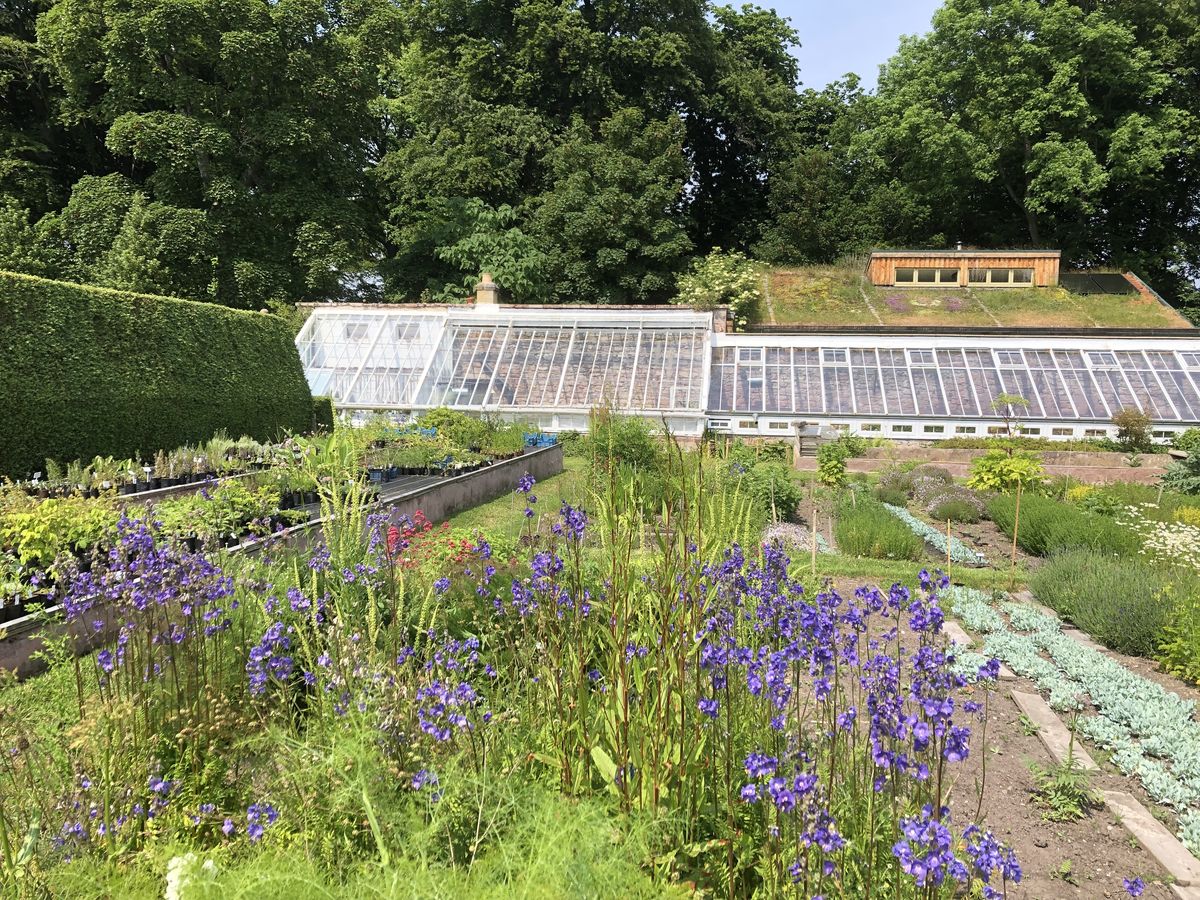 Poyntzfield Herb Nursery