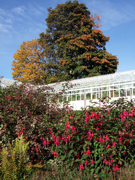 Douneside House