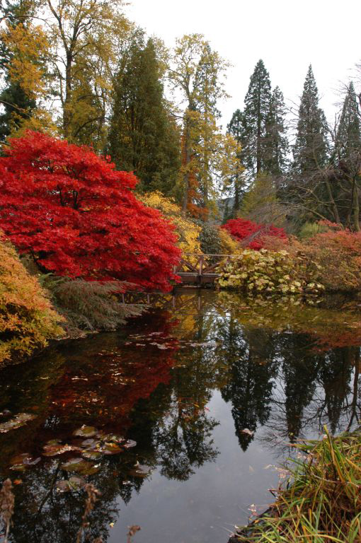Benmore Botanic Gardens 3